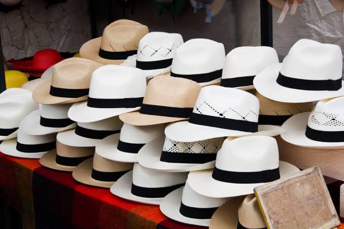 Chapeau panama